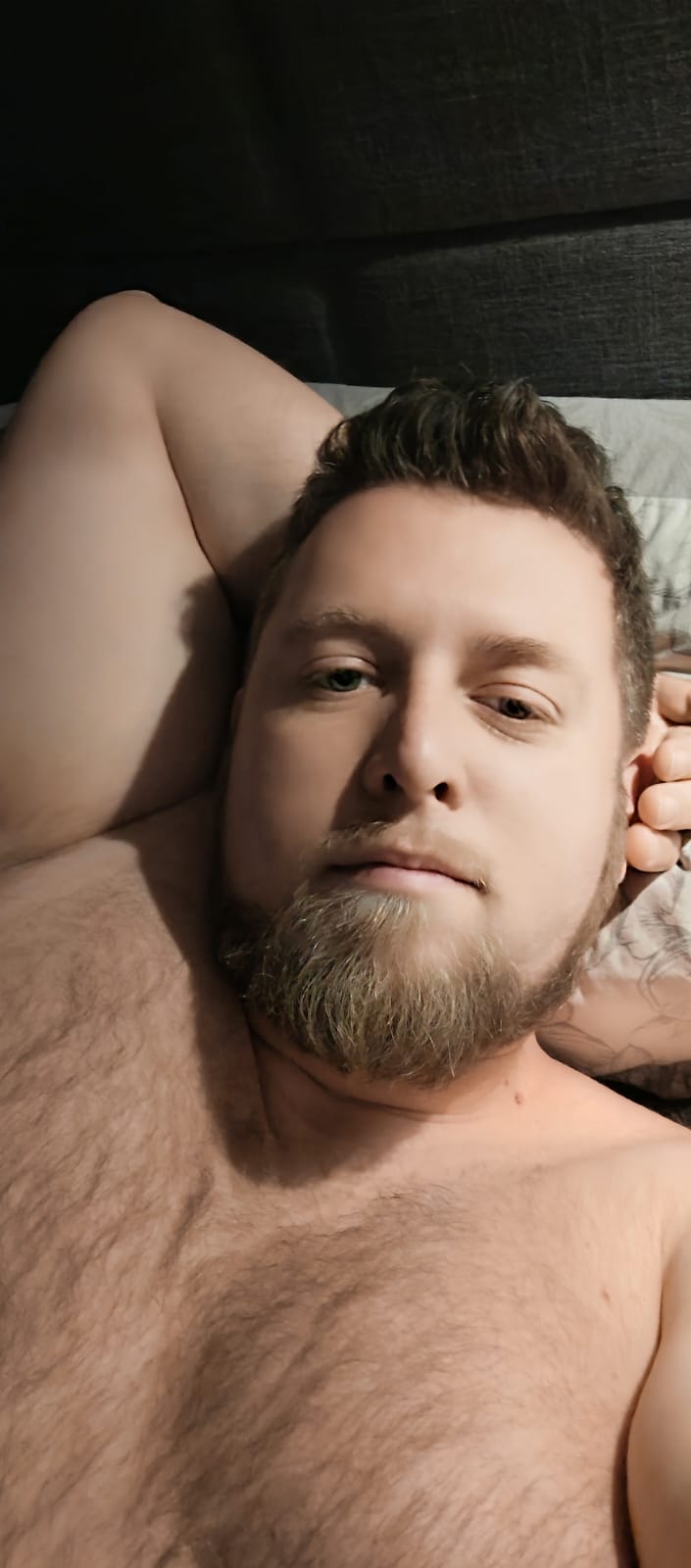 Profil de Zaer, 37 ans, Soiree gay à Trubschachen