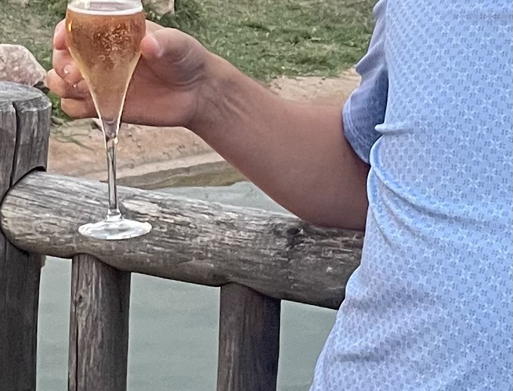 Profil de Theis, 50 ans, Soiree gay à Obermutten