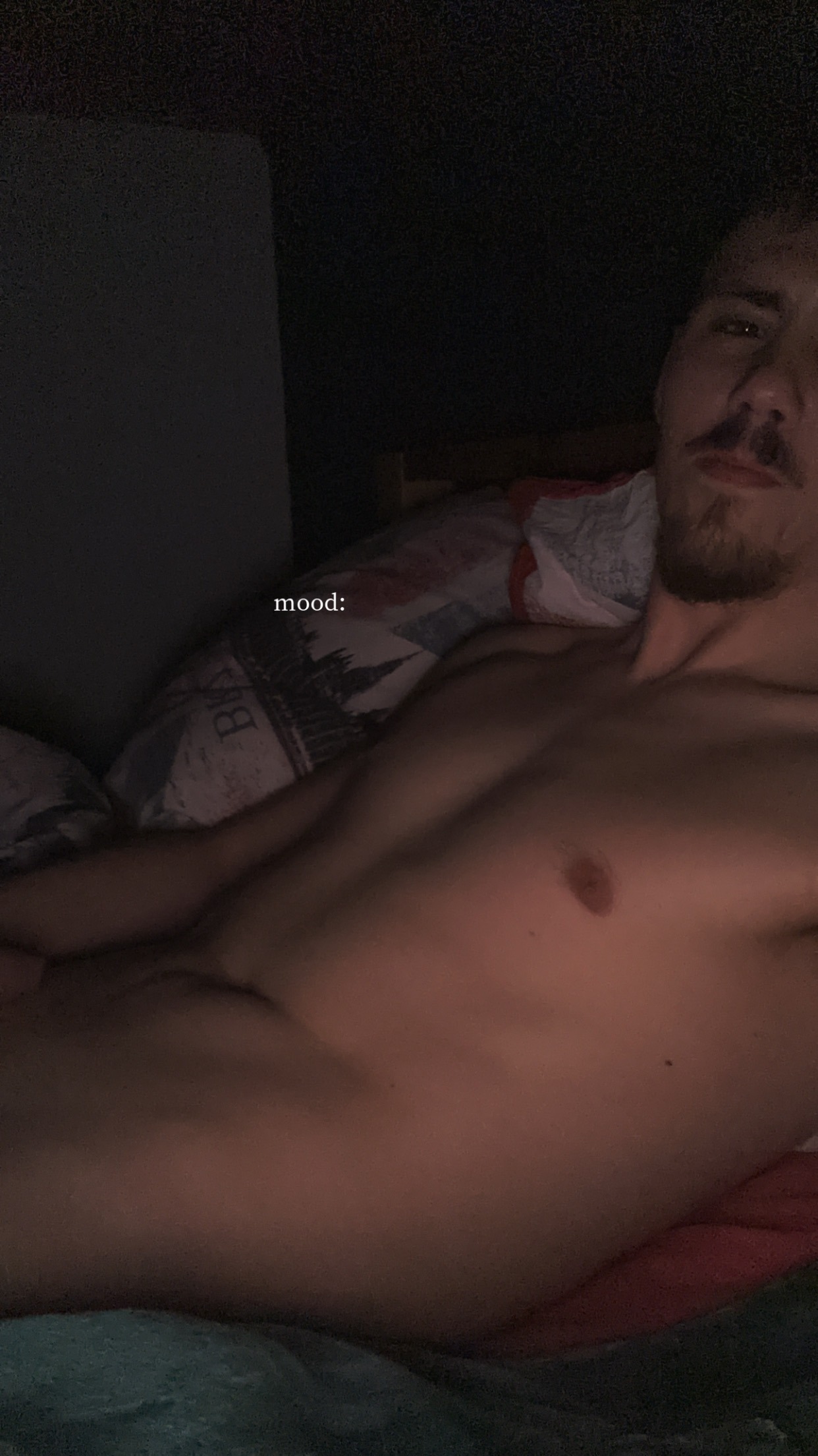 Profil de Neals, 24 ans, Soiree gay à Brigue